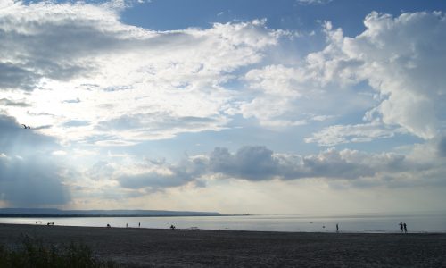 SONY DSC