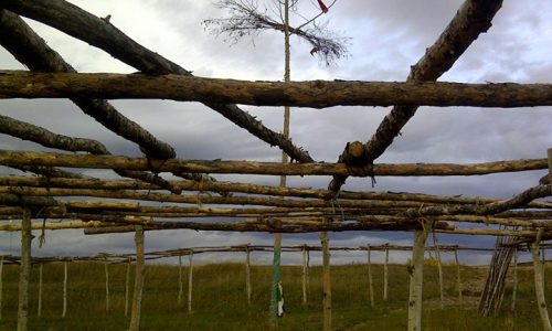 flag on tree Fort chip