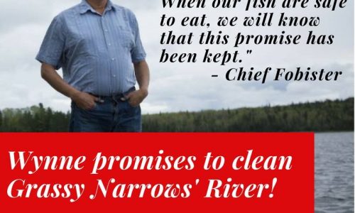 Chief Fobister Wynne promise