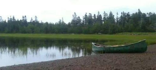 photo by Terry Godfrey (6)