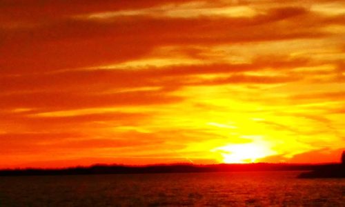 photo by Terry Godfrey (12)